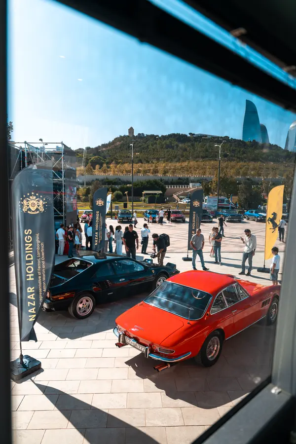 Horse Power, photo 6